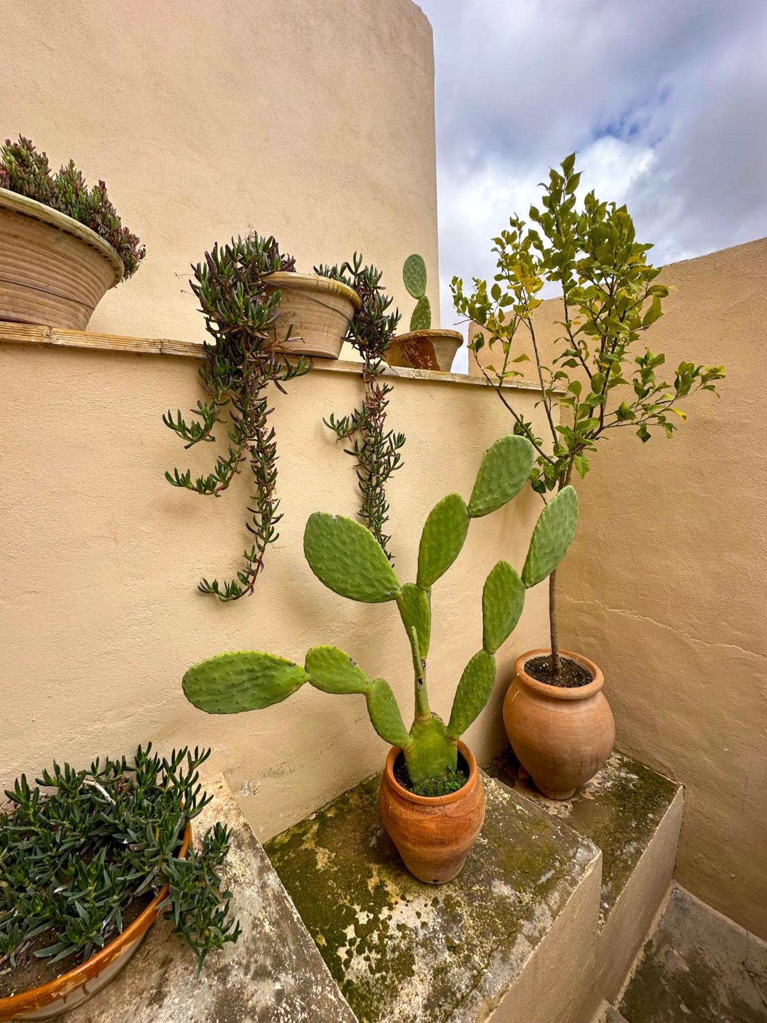 Casa Rural Del Juez Alcala del Jucar Luaran gambar